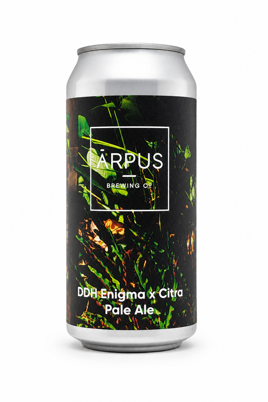 Frisse zomer bieren 2026 Online webshop crafbeer