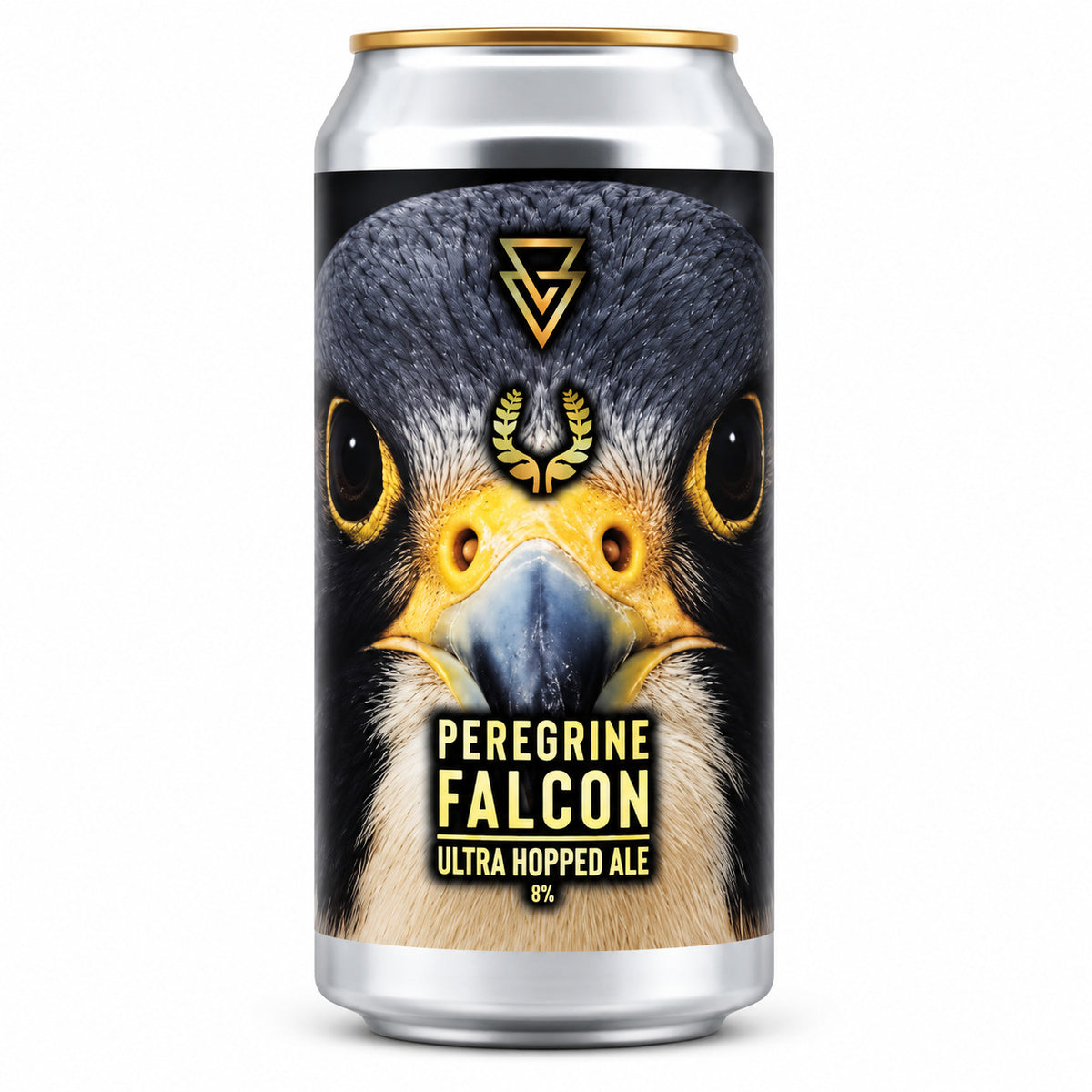Verdins Azvex x Lolev! Peregrine Falcon