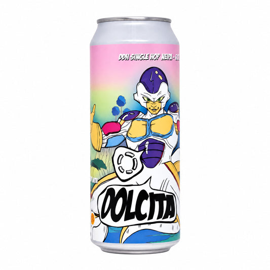 Lost Ipa bieren online webshop verdins
