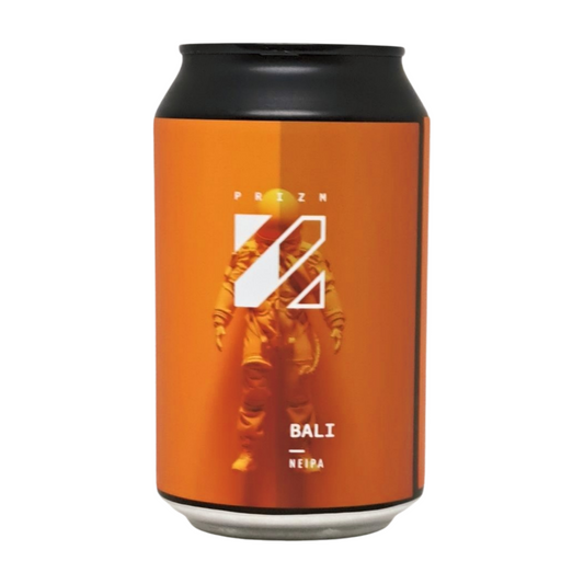 Prizm Memorial Boogie | Fruited Sour