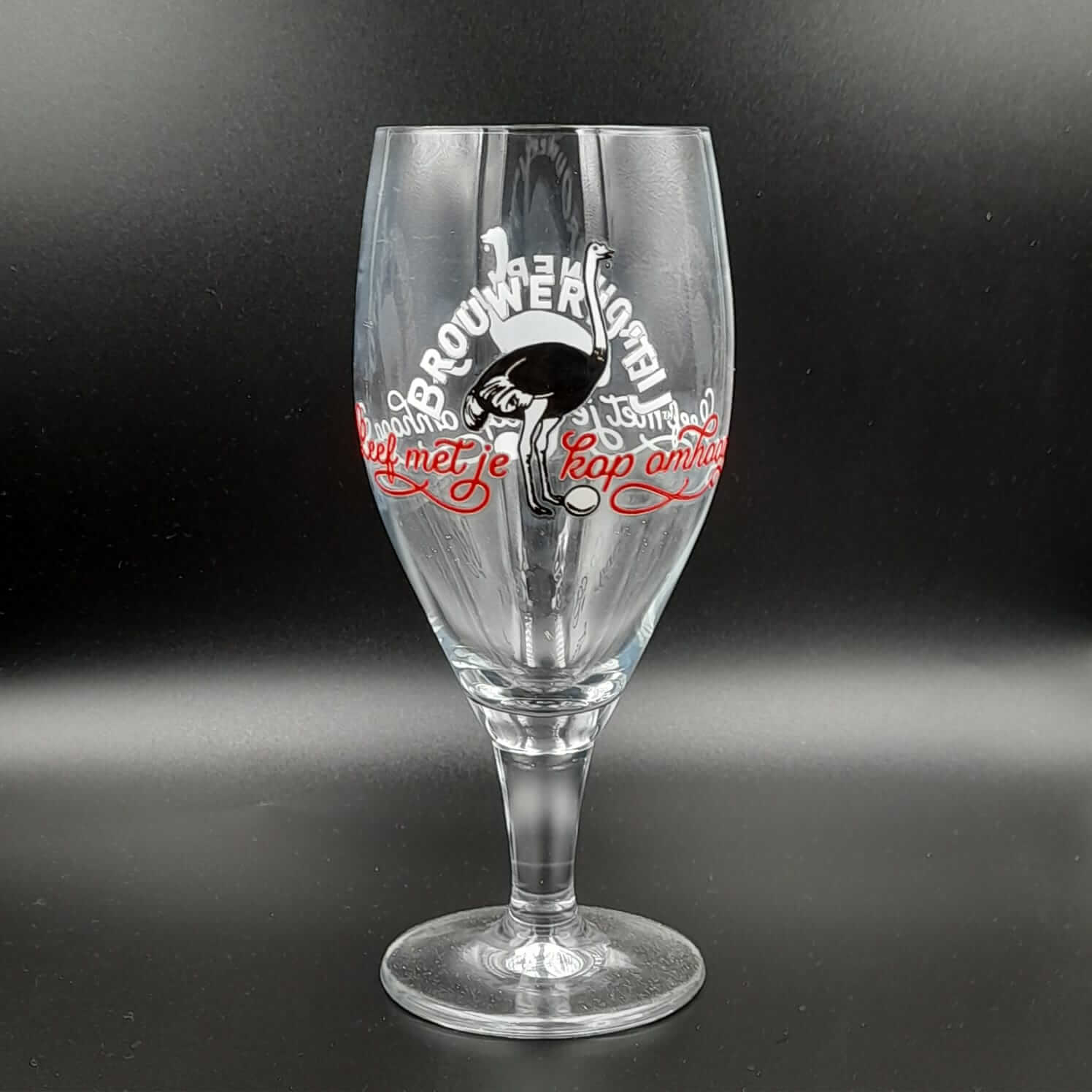 'T IJ Leef Met Je Kop Omhoog Glas | Glas Webshop Online Verdins Bierwinkel Rotterdam