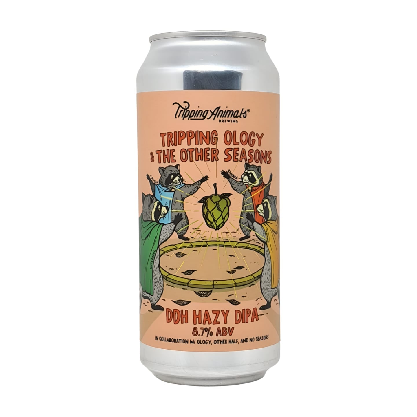 Tripping Animals x Other Half collab Craft beers Ipa Online Buy Verdins.nl