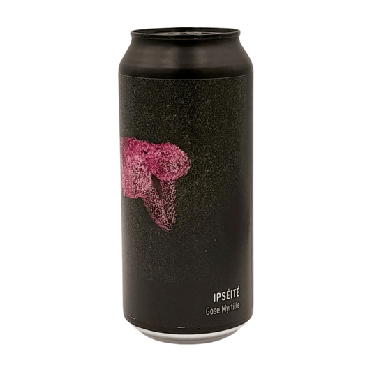 VNDL Ipséité | Fruited Gose Webshop Online Verdins Bierwinkel Rotterdam